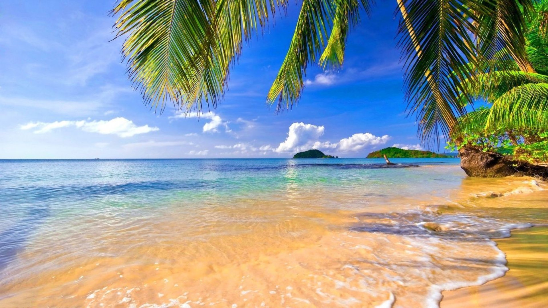 WindowsPhotoViewerWallpaper.jpg